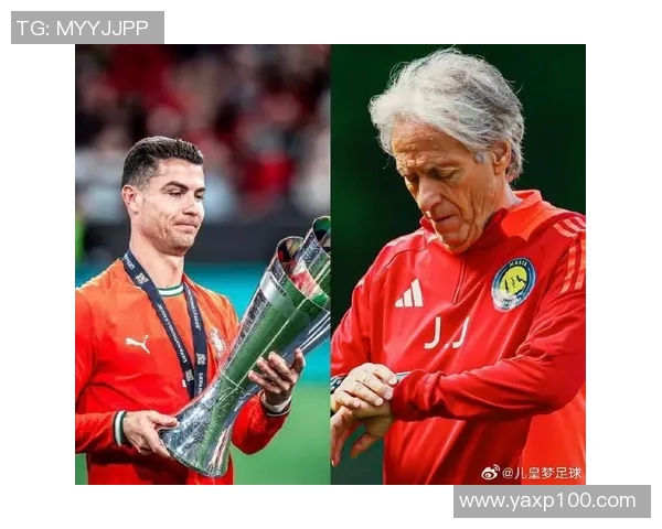 全球足球明星盘点他们的成就与影响力解析